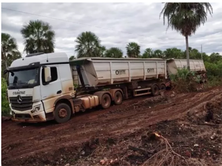 Por 3 dias, on�as rodeiam caminh�o atolado no Pantanal e motorista se esconde na cabine