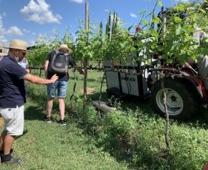 Produtores de erva-mate conhecem potencial da capina el�trica