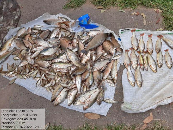 Tr�s pessoas s�o presas por pesca ilegal na Passagem da Concei��o