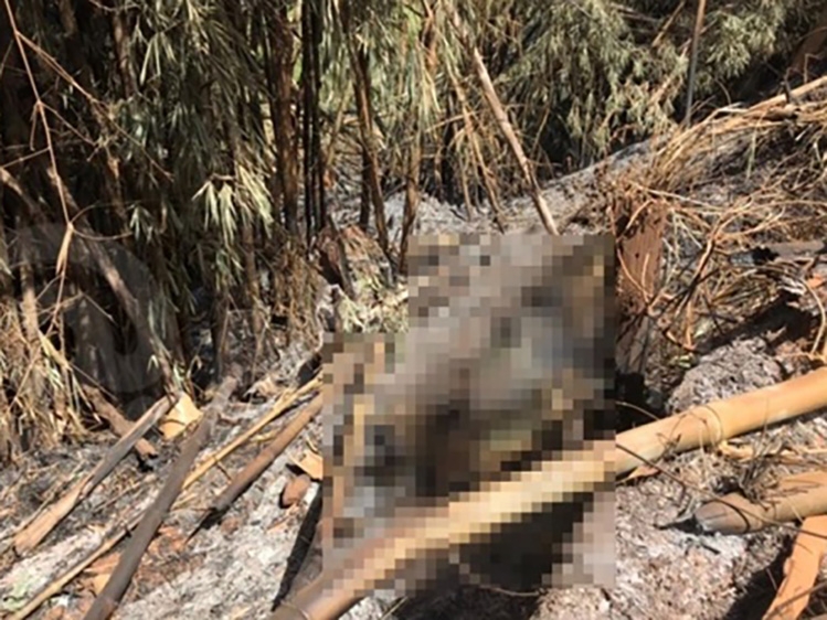 Casal � encontrado morto e carbonizado em Rondon�plois Mato Grosso