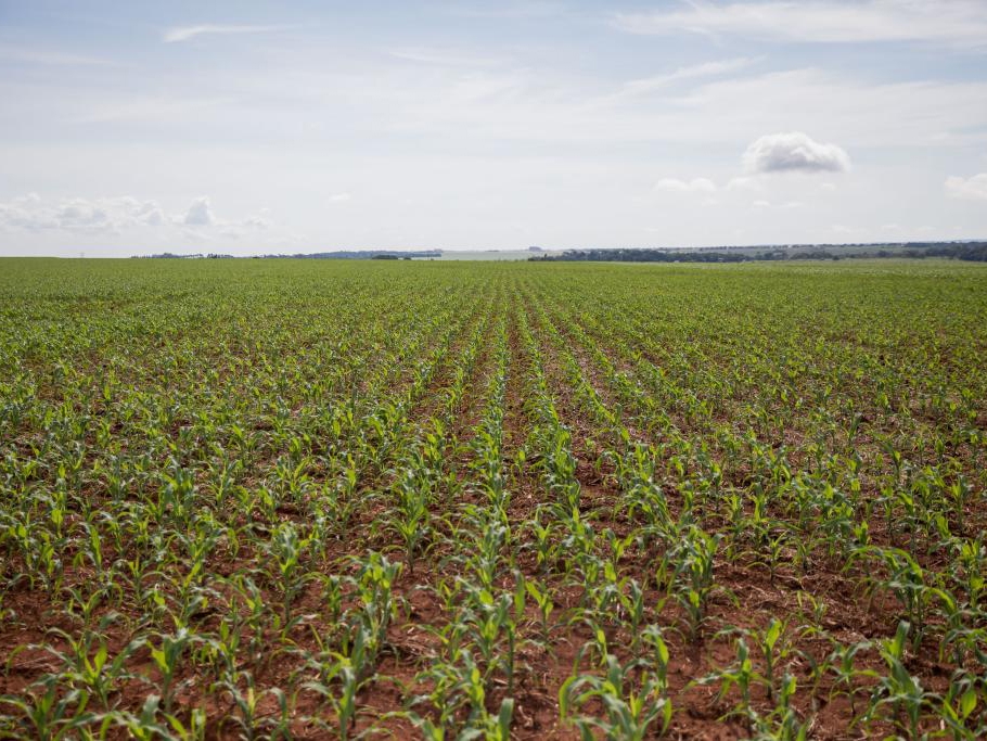 FCO oferta R$ 546,8 milh�es em linhas de cr�dito para empres�rios e produtores rurais de MT