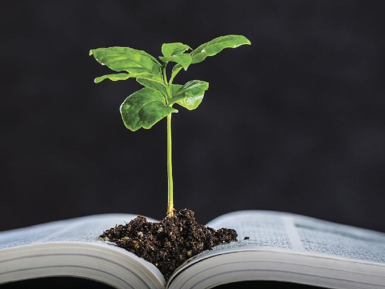 Inscri��es para projetos na �rea de educa��o ambiental e sustentabilidade continuam abertas 