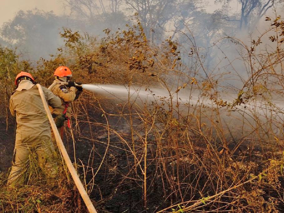 Per�odo proibitivo do fogo em Mato Grosso come�a nesta sexta-feira (1�) 