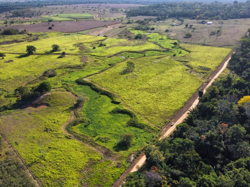 Dia de Campo em Juara dia 13 de agosto mostra resultados de integra��o lavoura-pecu�ria na regi�o Noroeste