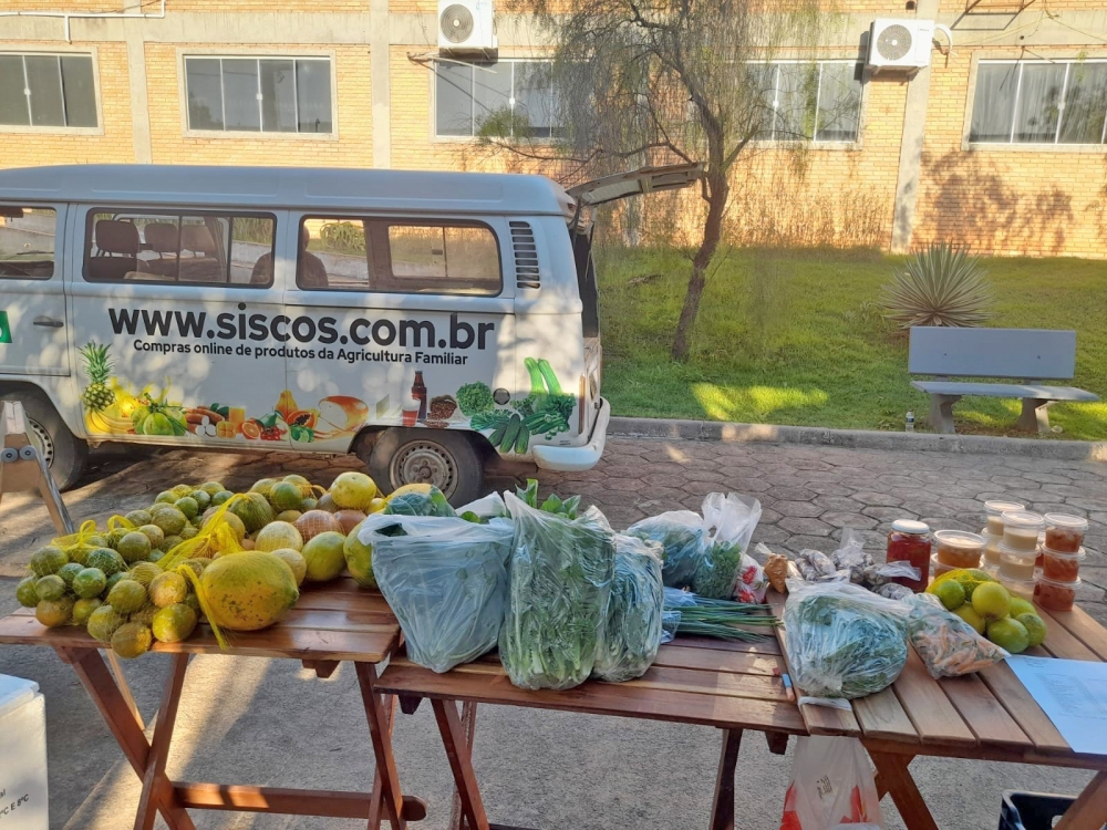 Com apoio do REM MT, sistema de compras on-line de produtos da agricultura familiar gera renda para agricultores 