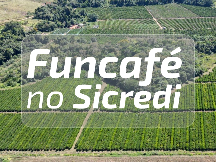 Cafeicultura: Veja como acessar os recursos do Funcaf� atrav�s do Sicredi em Rond�nia e Mato Grosso
