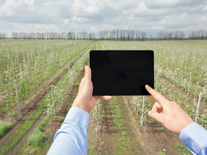 Minist�rio da Ci�ncia, Tecnologia e Inova��es e o Mapa apresentam inova��es no agroneg�cio do semi�rido do Brasil