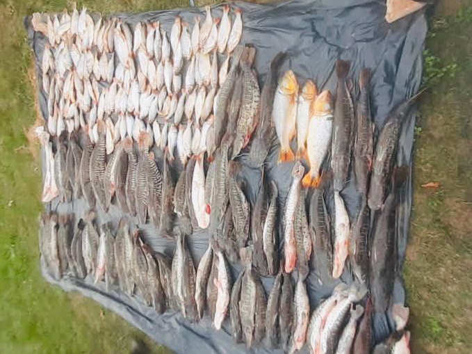 Batalh�o Ambiental apreende 315 quilos de pescado irregular