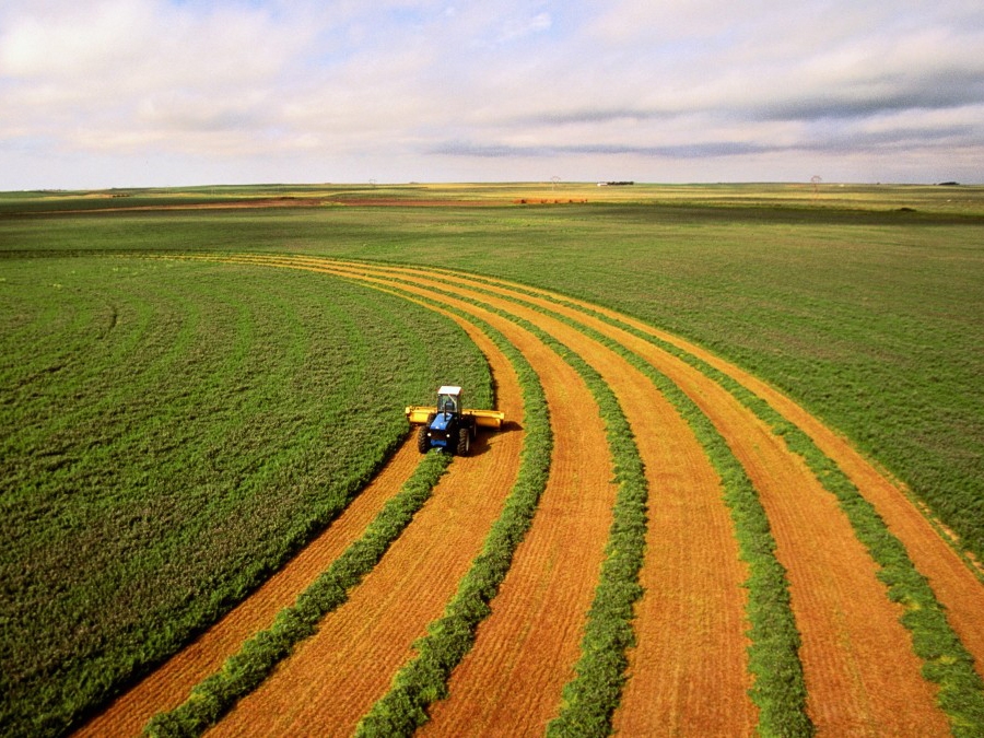 Minist�rio da Agricultura pode ser do agroneg�cio mato-grossense