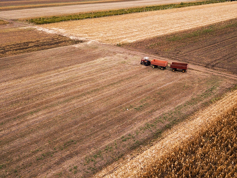 Minist�rio da Agricultura, Pecu�ria e Abastecimento apresentou as a��es do Plano Agronordeste