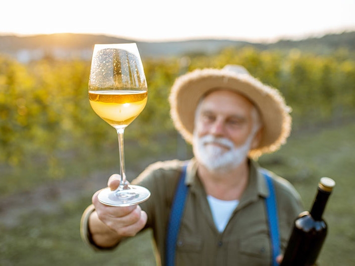 Vinhos do Vale de S�o Francisco recebem registro de Indica��o Geogr�fica