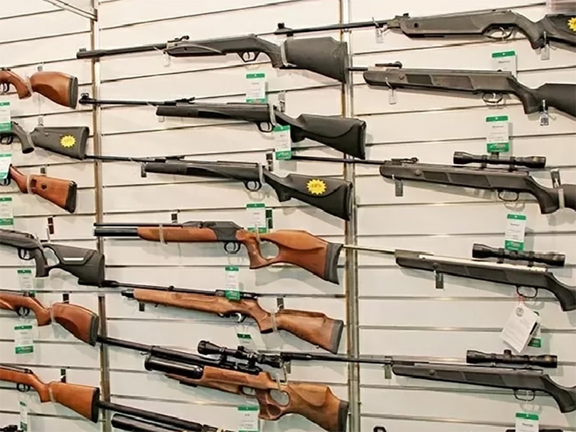 TJ declara inconstitucionais tr�s leis que liberam porte de armas e lei de Juara est� sendo questionada