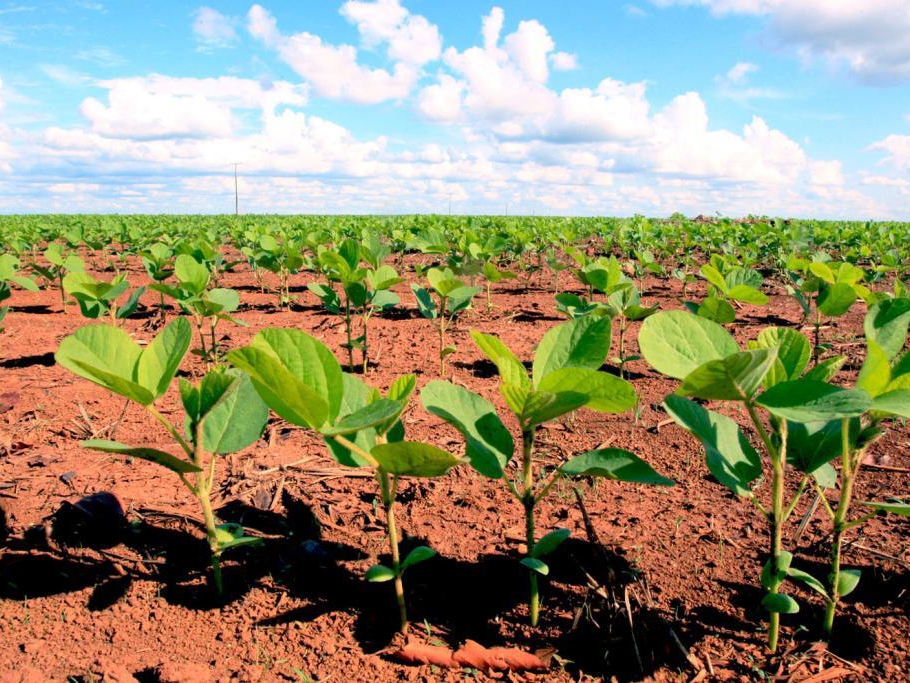 Carga tribut�ria ser� de 2% na importa��o de insumos agr�colas a partir de 2023 