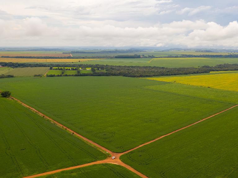 Mato Grosso se mant�m na lideran�a nacional com 58% do CAR analisado 