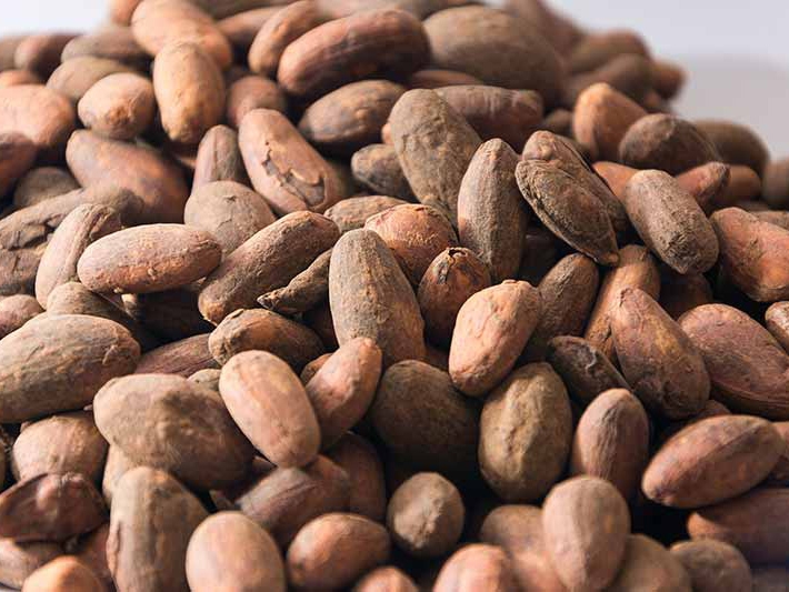 Fundo Global para o Meio Ambiente aprova plano da FAO e do Minist�rio da Agricultura sobre conserva��o do cacau