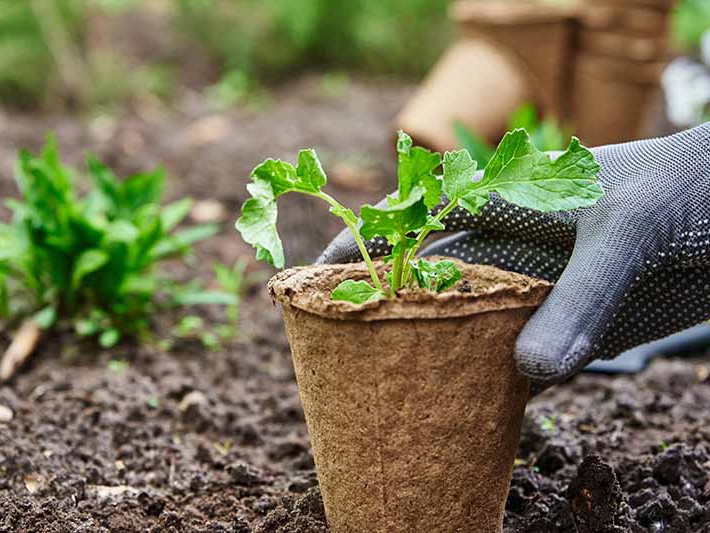 Defesa agropecu�ria � avaliada pelo CEO do Grupo VMX