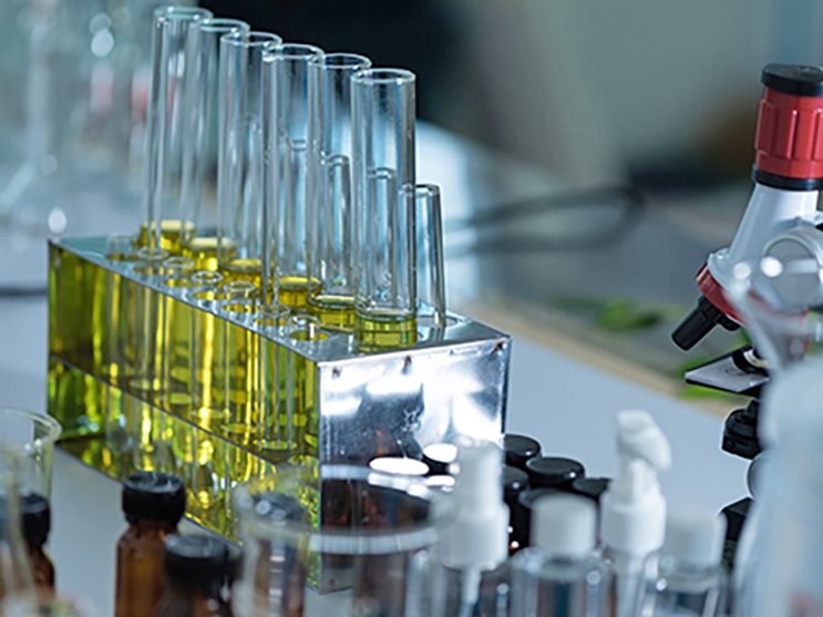 Carlos C�sar Floriano: Minist�rio da Agricultura anuncia Selo do Biocombust�vel Social