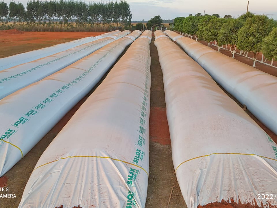 Com safra recorde, d�ficit de armazenamento de gr�os volta a assombrar o setor