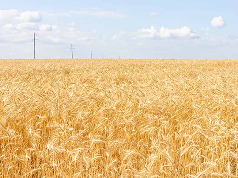 Relev�ncia dos investimentos no agroneg�cio e destaque em reuni�o na Febraban