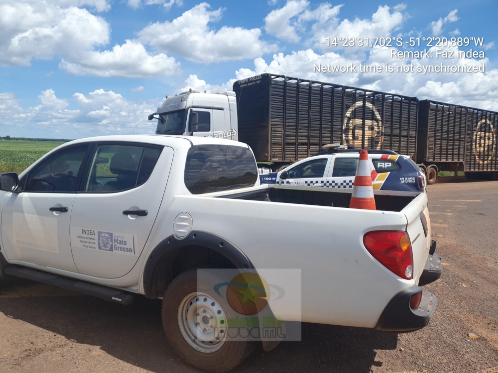 Caminh�o com carregamento de boi � autuado durante fiscaliza��o do Indea
