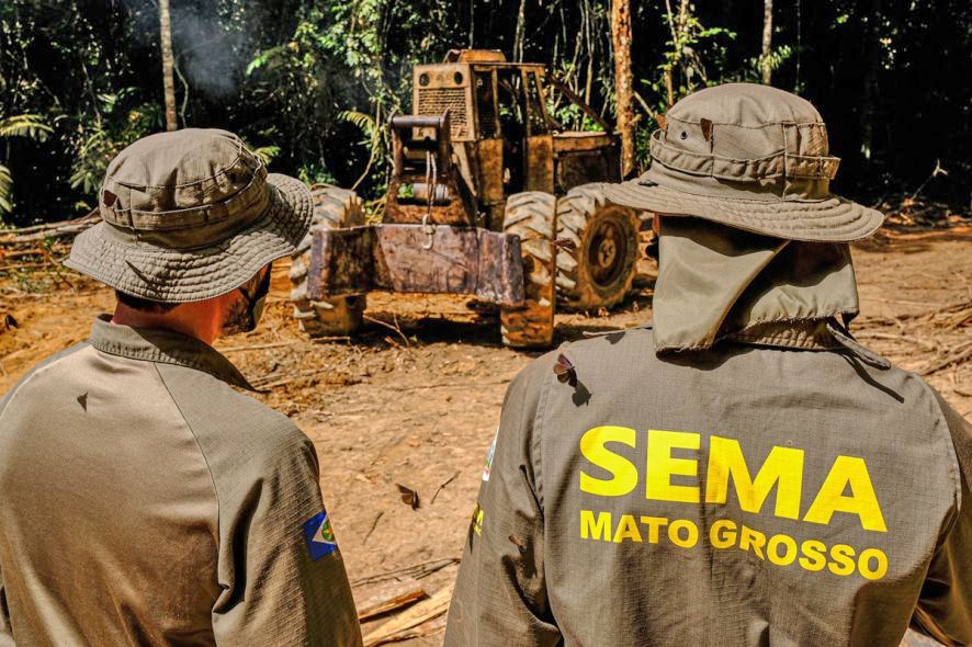 Governador lan�a opera��o Amaz�nia de combate ao desmatamento 