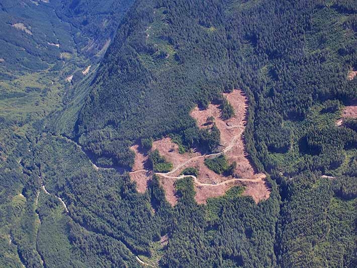  A��es para zerar o desmatamento por meio do desenvolvimento sustent�vel j� tem prazo: ano de 2030