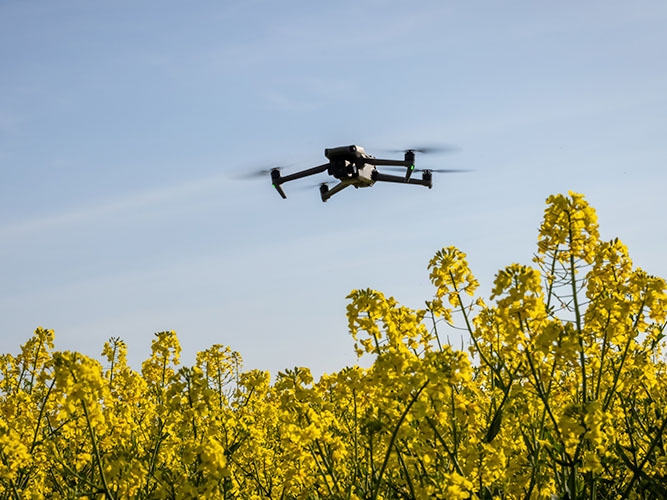 Minist�rio da Agricultura treina auditores fiscais para vistorias com drones