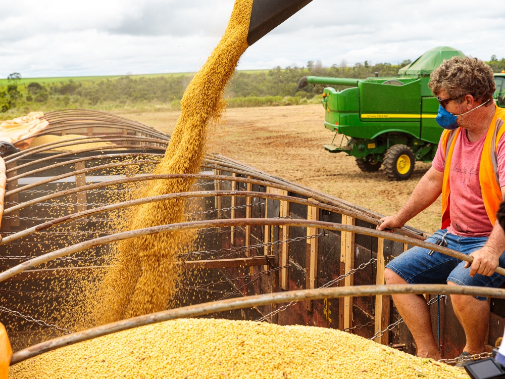 Mato Grosso representa 45% do saldo positivo da balan�a comercial brasileira 