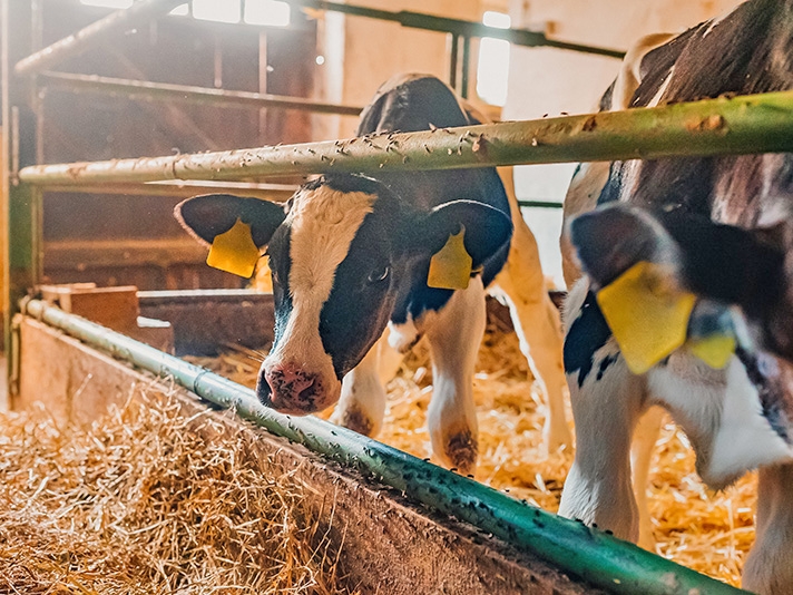 Exporta��es do agroneg�cio brasileiro ultrapassam US$ 50,6 bilh�es em 4 meses