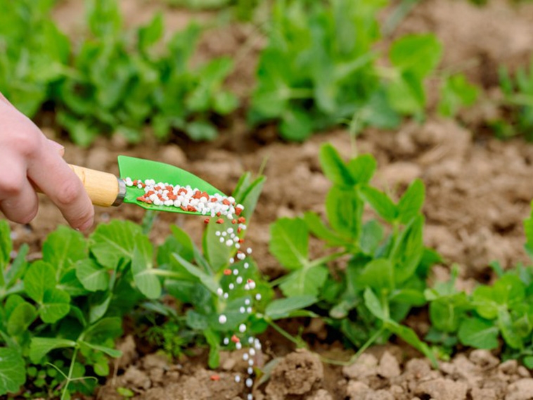 Sedec apresenta alternativas para produ��o de fertilizantes em MT nesta quarta-feira (21)