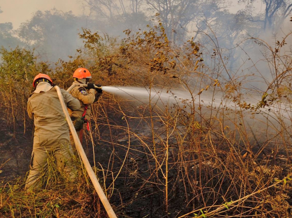 Per�odo proibitivo de uso de fogo em �reas rurais come�a neste s�bado, dia 01 de julho