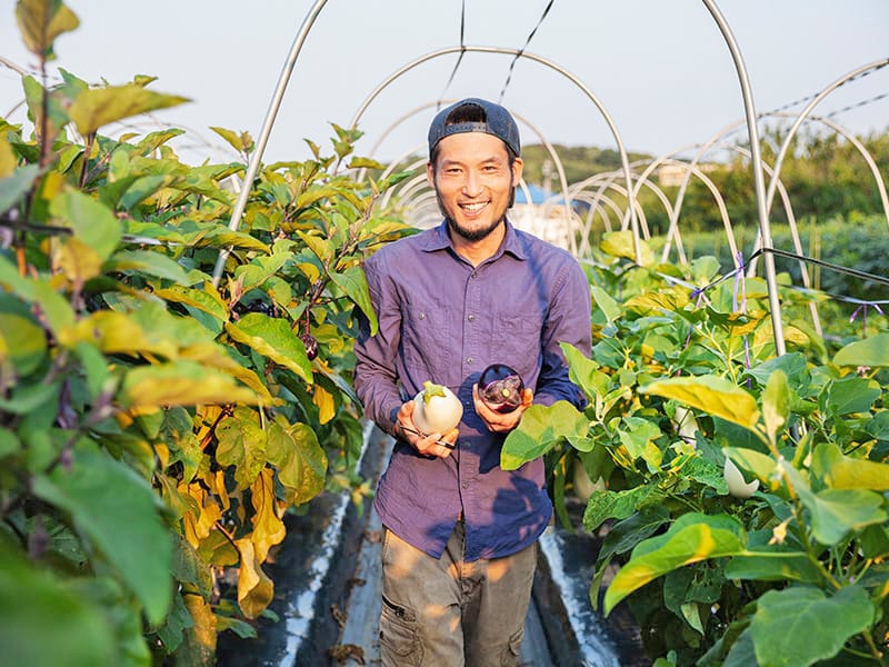 Brasil e Jap�o: fortalecendo a parceria para o incremento sustent�vel da agropecu�ria