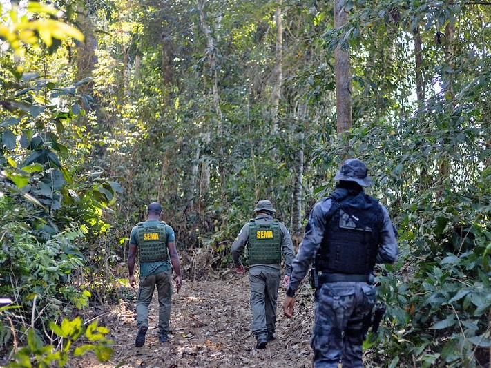  Governo de MT aplicou R$ 937 milh�es em multas por crimes ambientais no primeiro semestre