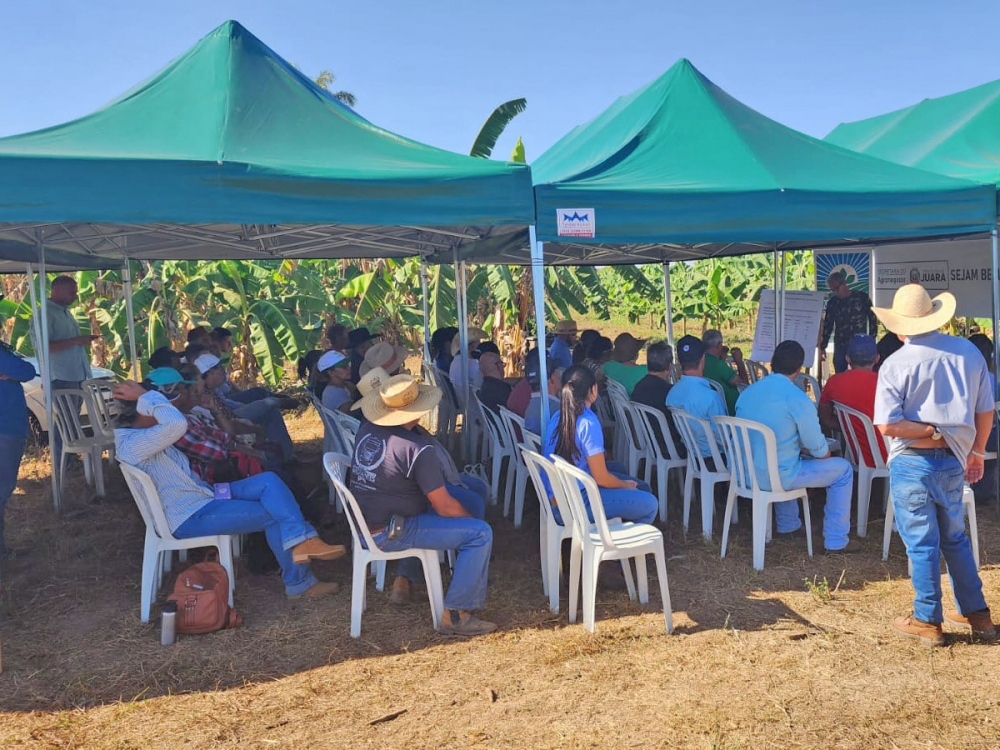 Secretaria do Agroneg�cio realiza Dia de Campo sobre o cultivo da banana em Juara