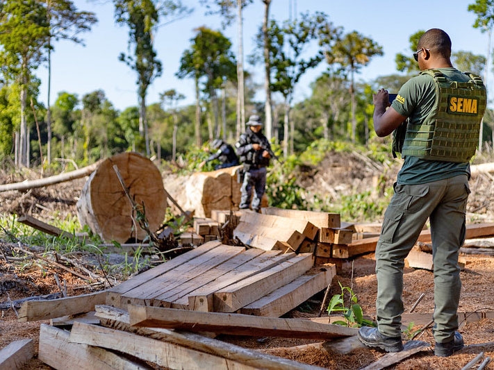 Mato Grosso aplica R$ 1,1 bilh�o em multas ambientais nos primeiros 7 meses do ano