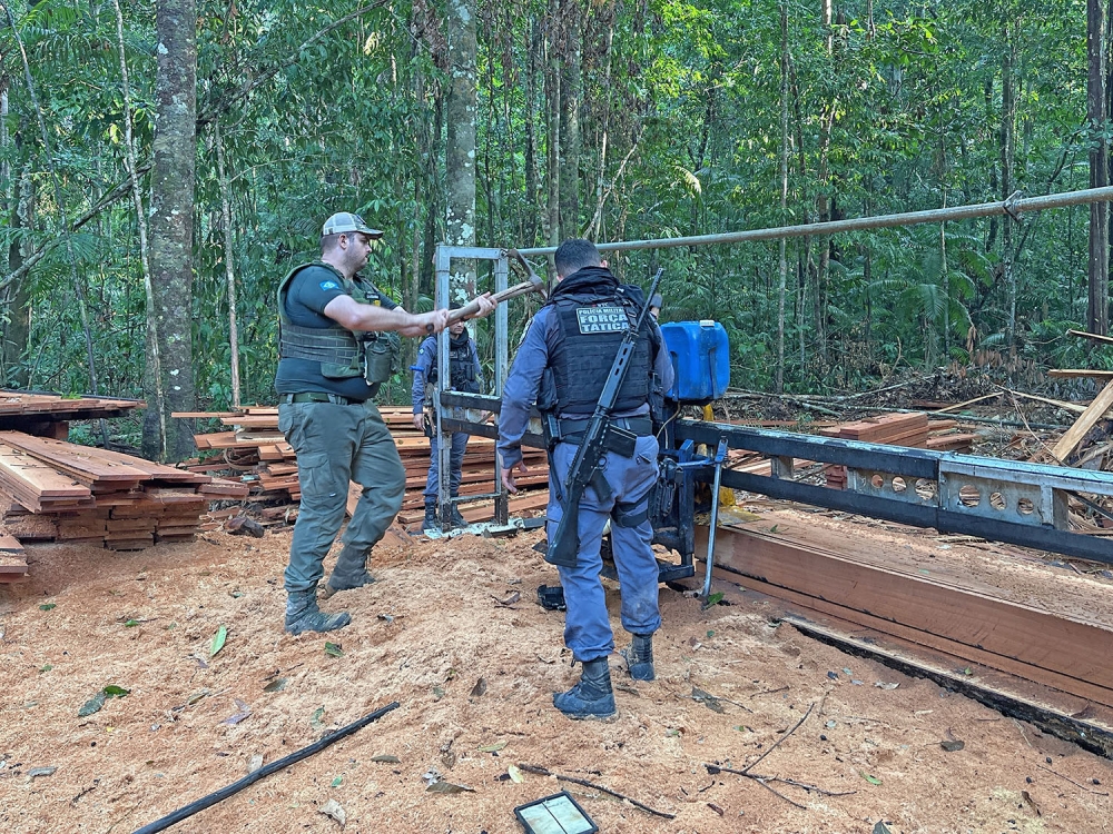 Sema-MT aplica R$ 36 milh�es em multas por desmate ilegal no Parque Estadual do Cristalino
