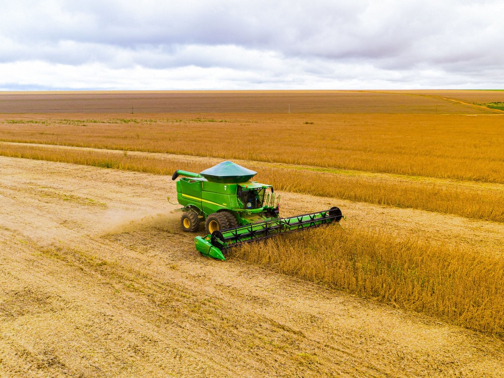 Prazo de plantio da soja � ampliado em Mato Grosso at� o dia 13 de janeiro de 2024