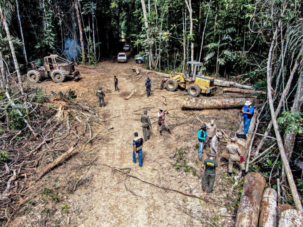 Crimes ambientais s�o identificados e punidos em mato Grosso com multas que ultrapassam R$ 1,8 bilh�o
