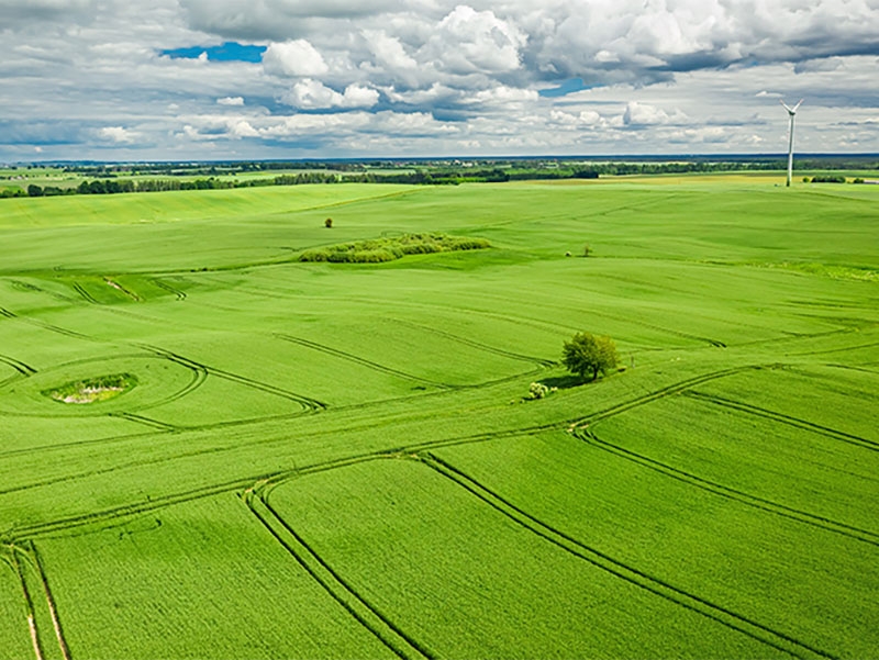 Programa de Recupera��o de Pastagens: Brasil apresenta estrat�gia agropecu�ria global