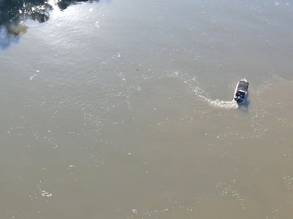 Lei que pro�be pesca comercial por 5 anos em Mato Grosso j� est� em vigor