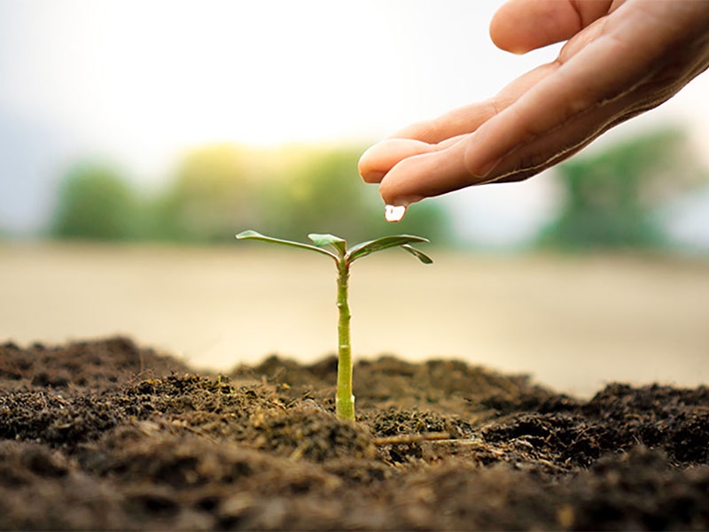 Solo e �gua: estrat�gias do Minist�rio da Agricultura e Pecu�ria para um manejo sustent�vel
