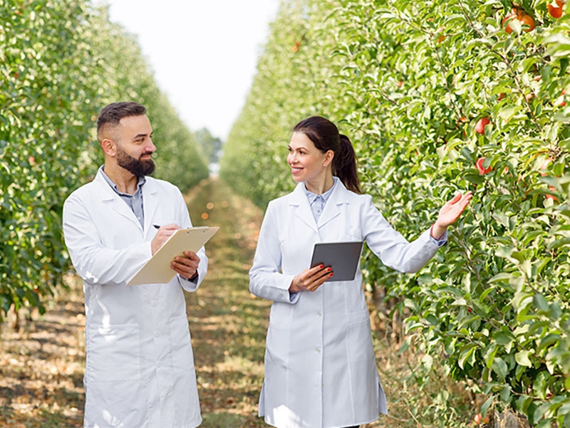 Avan�os sustent�veis no agroneg�cio: Embrapa e parceiros firmam compromissos para inclus�o produtiva no campo