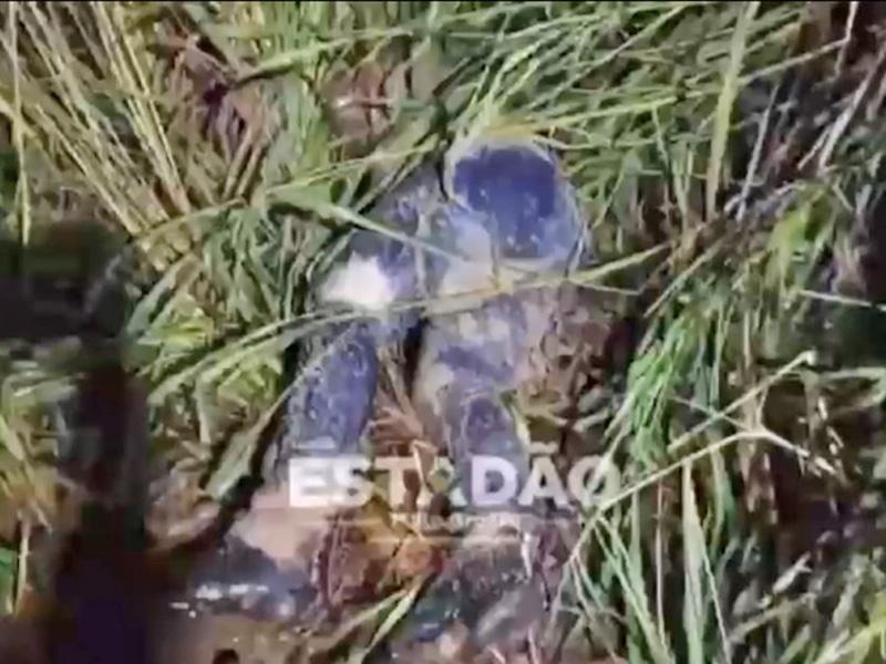 Motoristas de aplicativo que estavam desaparecidos s�o encontrados mortos em V�rzea Grande