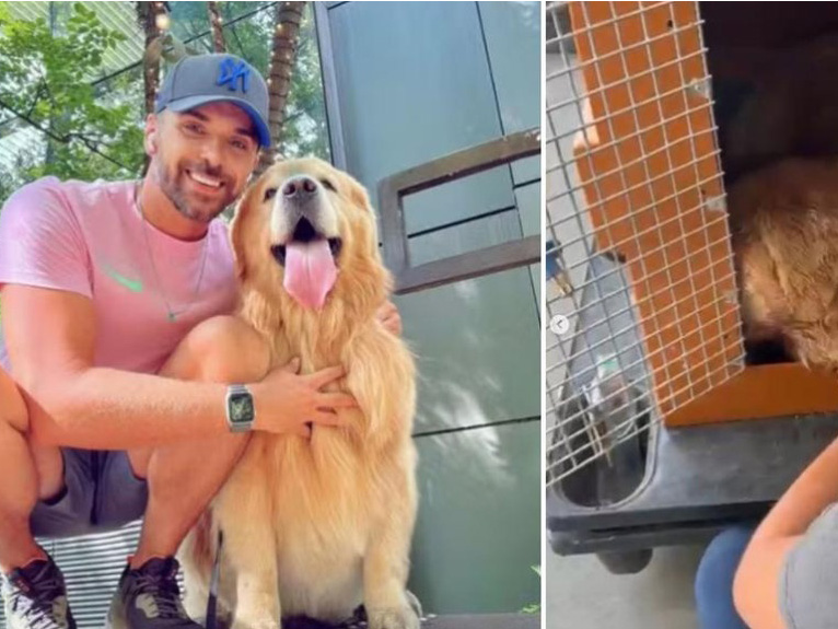 Minist�rio da Justi�a notifica Gol para dar explica��es ap�s morte de cachorro que deveria ser trazido para Sinop 