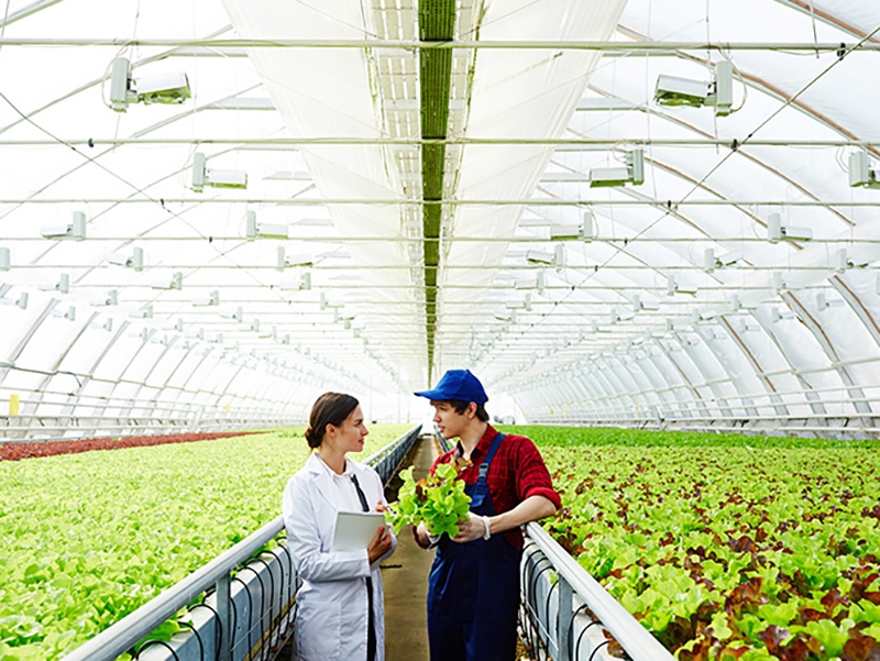Comit� Gestor do Plano de Desenvolvimento Agropecu�rio e Agroindustrial do Matopiba promove seu primeiro encontro