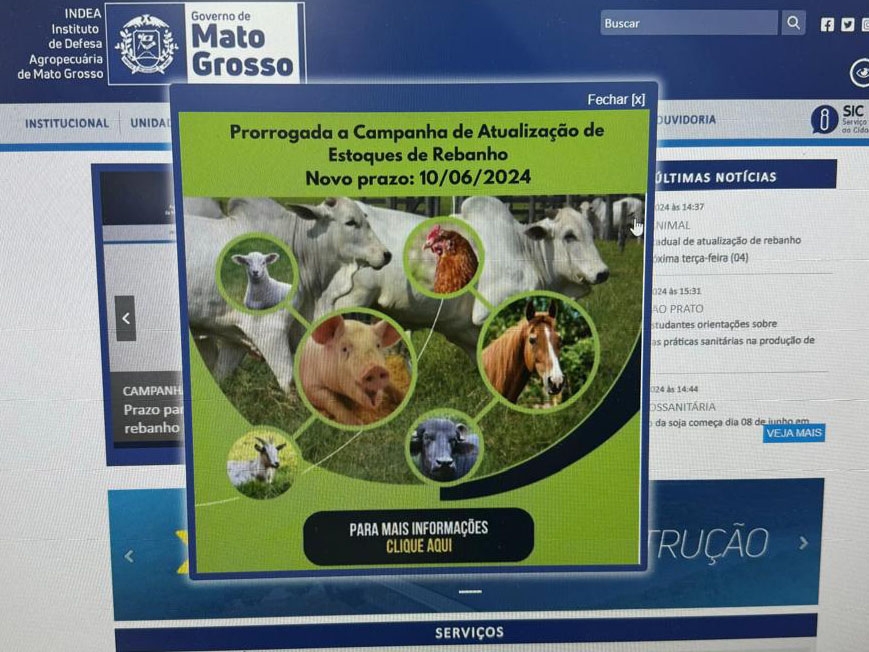 Governo de MT prorroga campanha estadual de atualiza��o de rebanho at� dia 10 de junho  