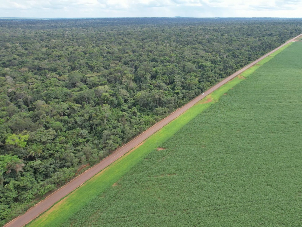 Dia Mundial do Meio Ambiente - Sicredi dobra libera��o de recursos para Economia Verde  