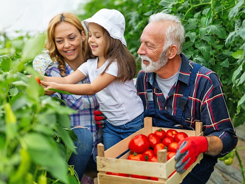 Inova��o Social: Iniciativas de apoio � agricultura familiar no Brasil