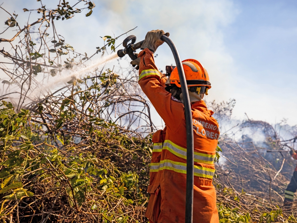 Corpo de Bombeiros combate tr�s inc�ndios florestais em MT nesta quarta-feira (19)
