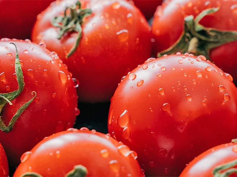 Tomate impede que pre�o da cesta b�sica suba na segunda semana de julho